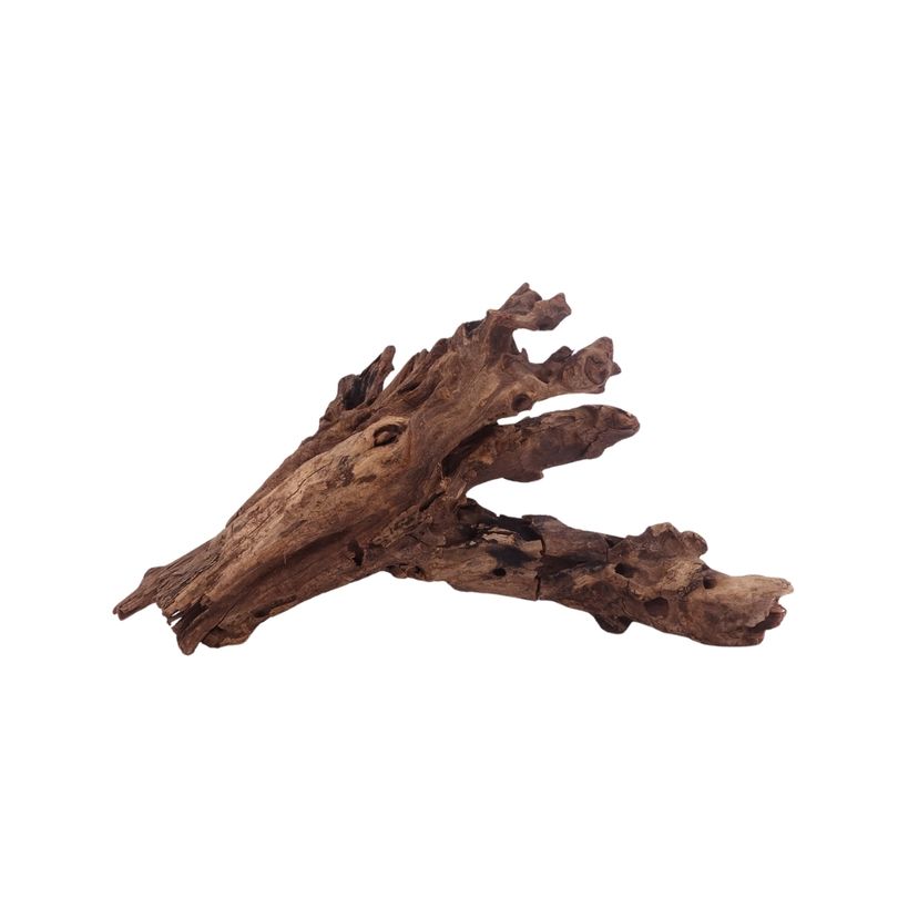 M Driftwood Flußwurzel Nr.3801 Holz Deko Aquascaping