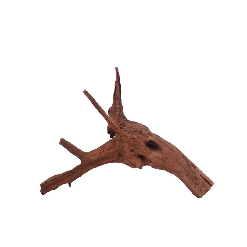 M Driftwood Flußwurzel Nr.3802 Holz Deko Aquascaping