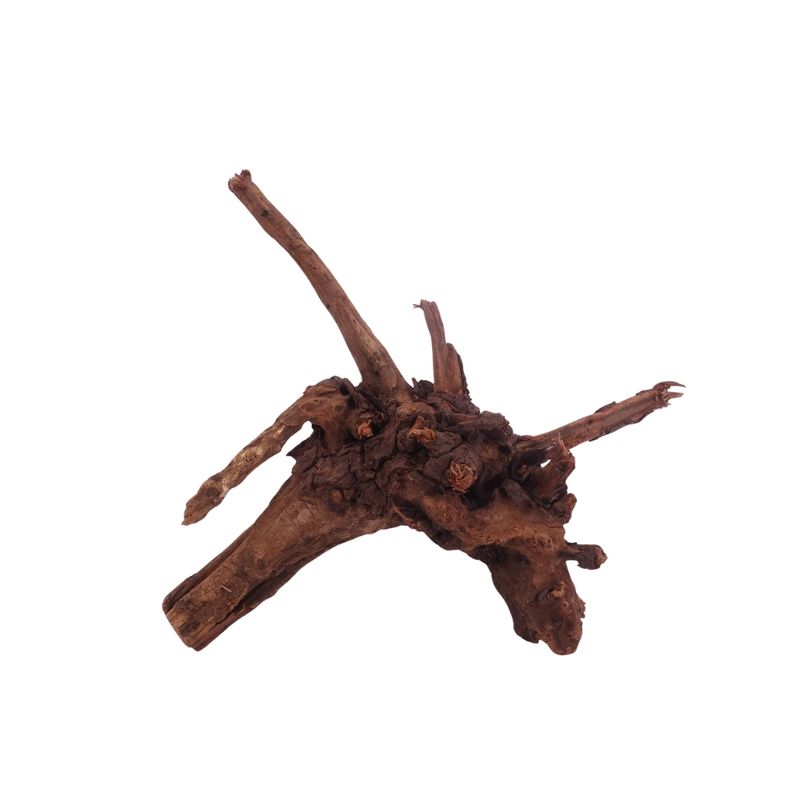 M Driftwood Flußwurzel Nr.3804 Holz Deko Aquascaping