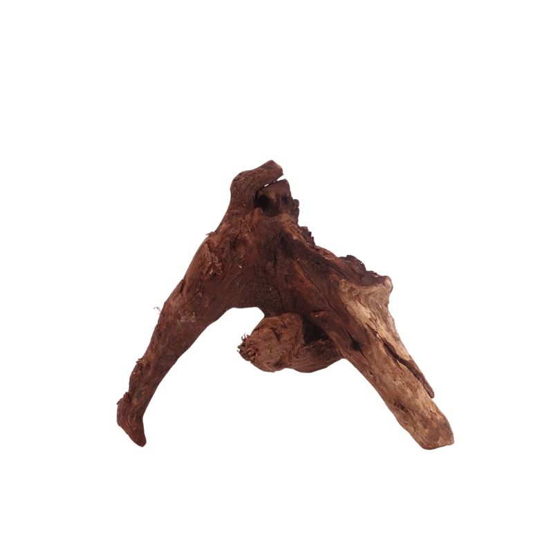 M Driftwood Flußwurzel Nr.3808 Holz Deko Aquascaping