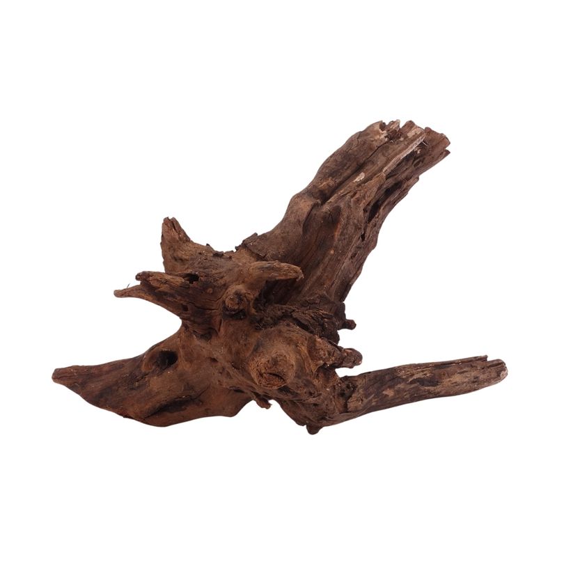 M Driftwood Flußwurzel Nr.3817 Holz Deko Aquascaping