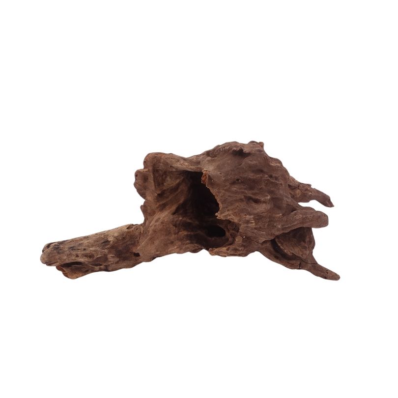 M Driftwood Flußwurzel Nr.3822 Holz Deko Aquascaping