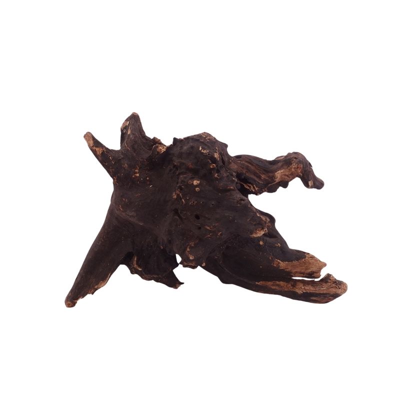 M Driftwood Flußwurzel Nr.3825 Holz Deko Aquascaping