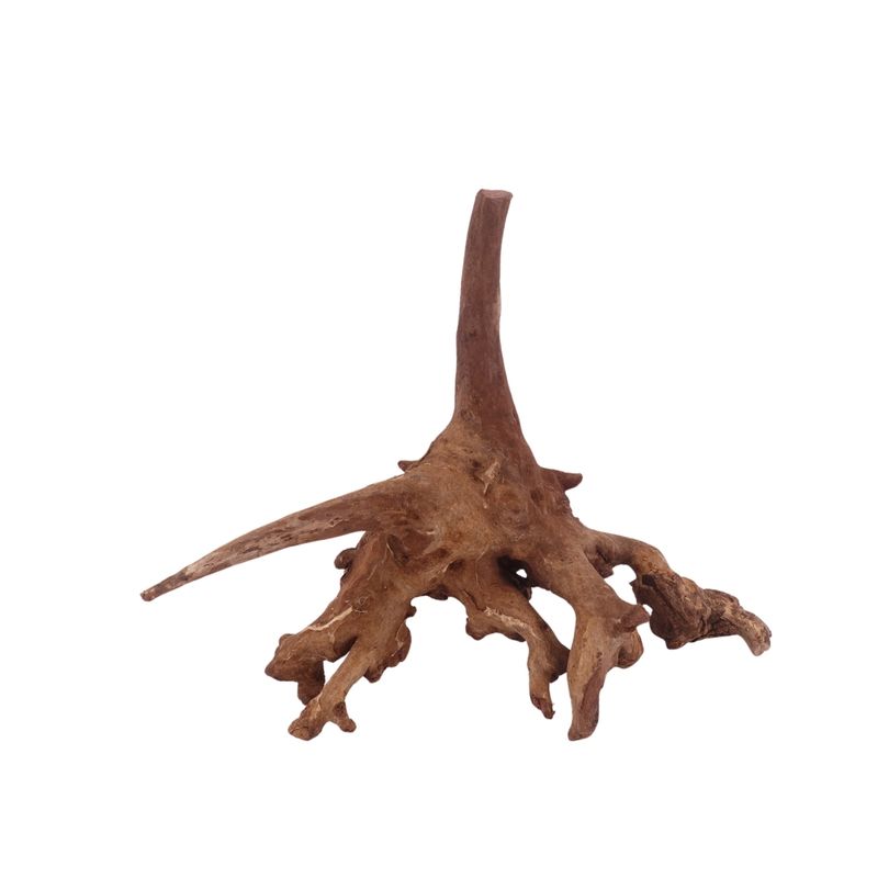 M Driftwood Flußwurzel Nr.3827 Holz Deko Aquascaping