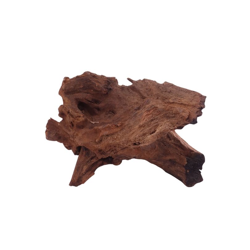 M Driftwood Flußwurzel Nr.3834 Holz Deko Aquascaping