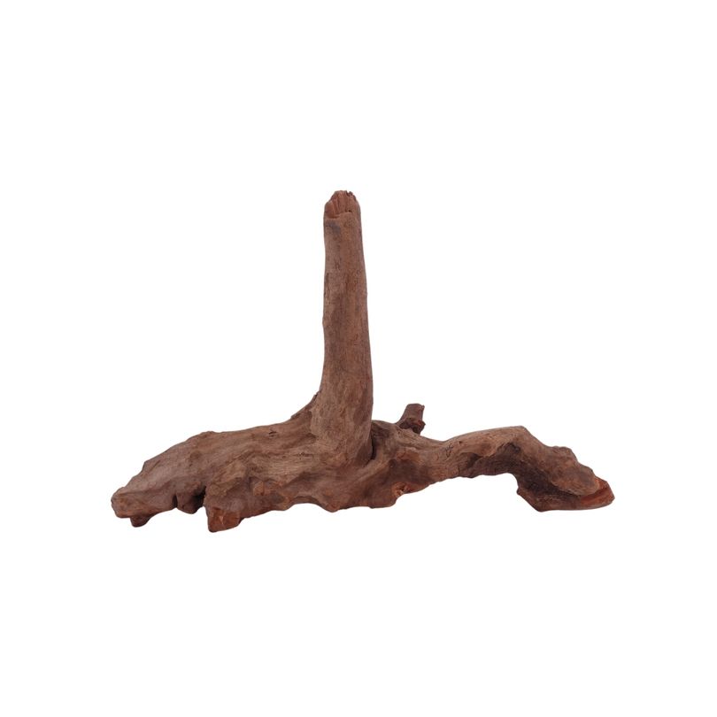 M Driftwood Flußwurzel Nr.3842 Holz Deko Aquascaping
