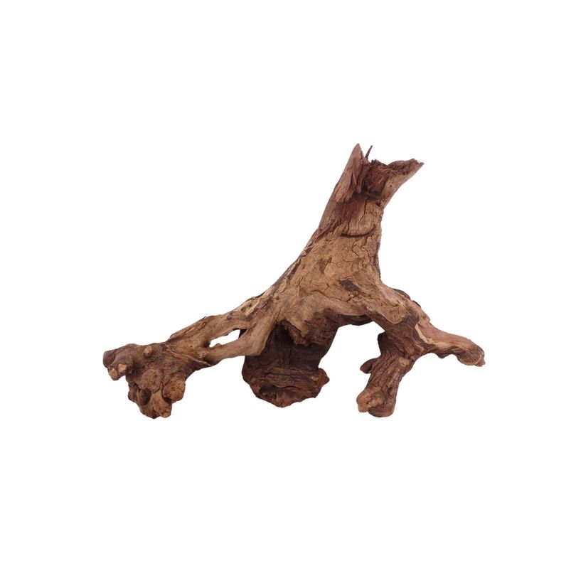 M Driftwood Flußwurzel Nr.3844 Holz Deko Aquascaping