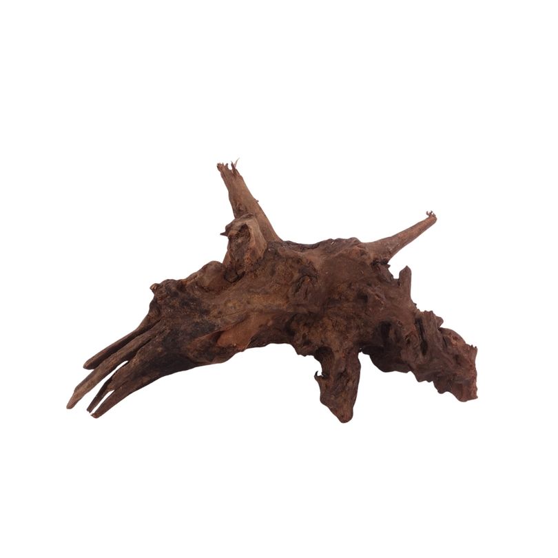 M Driftwood Flußwurzel Nr.3846 Holz Deko Aquascaping