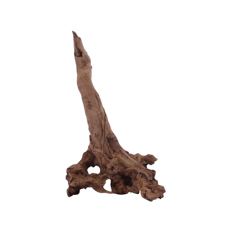  L Driftwood Flußwurzel Nr.3857 Holz Deko Aquascaping