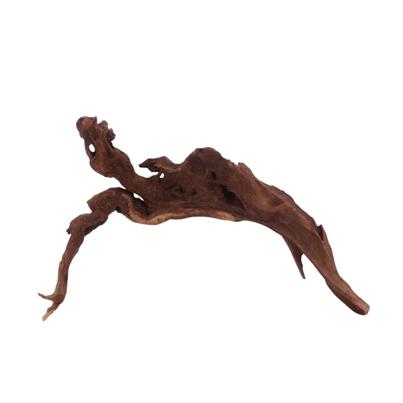  L Driftwood Flußwurzel Nr.3859 Holz Deko Aquascaping