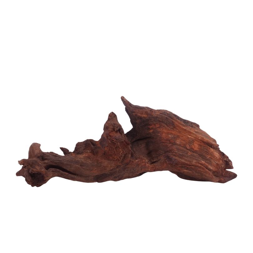  L Driftwood Flußwurzel Nr.3863 Holz Deko Aquascaping