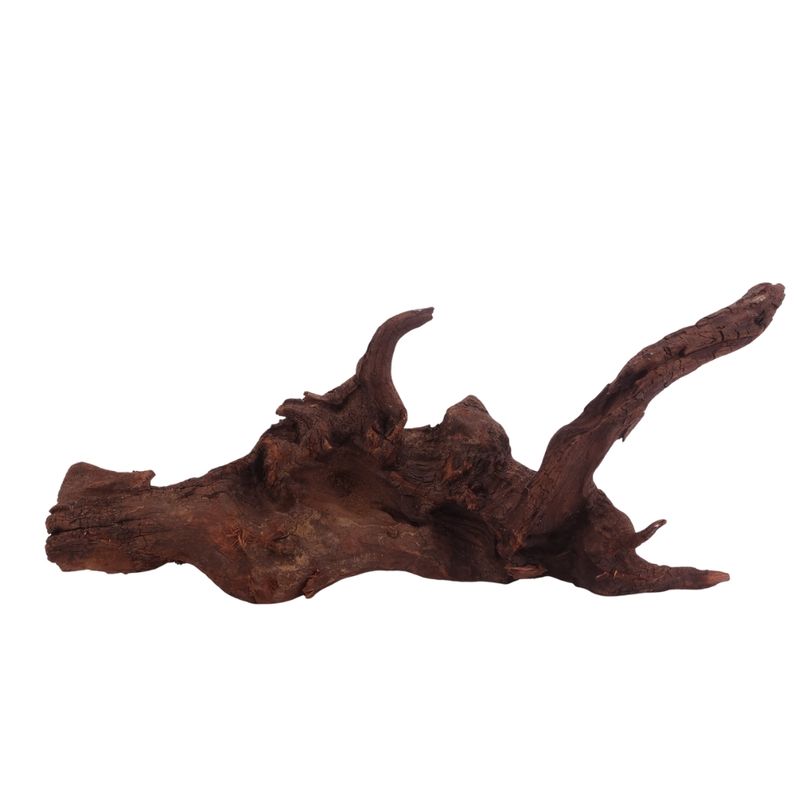  L Driftwood Flußwurzel Nr.3865 Holz Deko Aquascaping