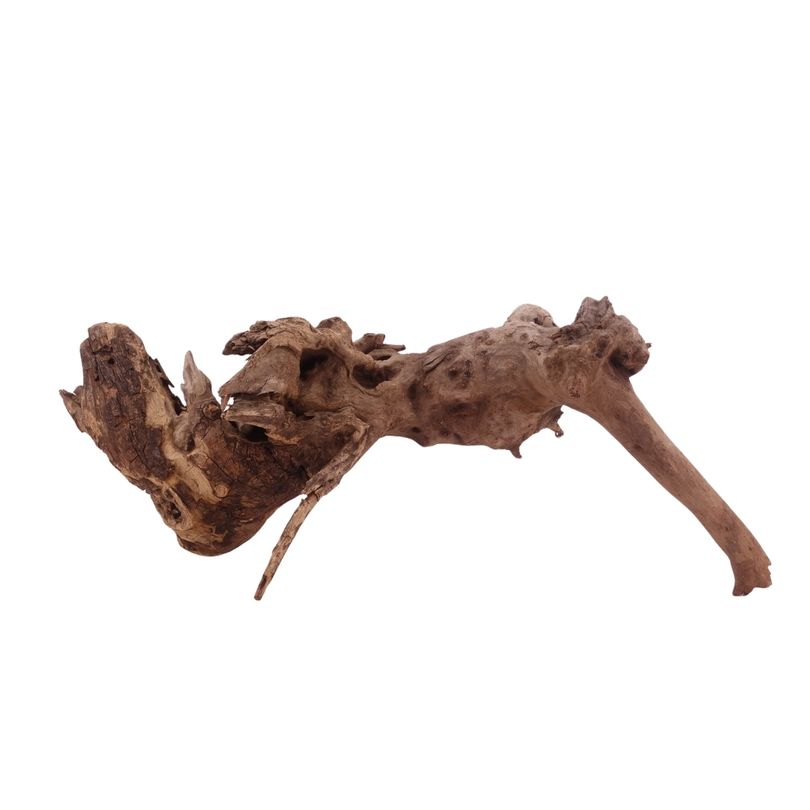  L Driftwood Flußwurzel Nr.3866 Holz Deko Aquascaping