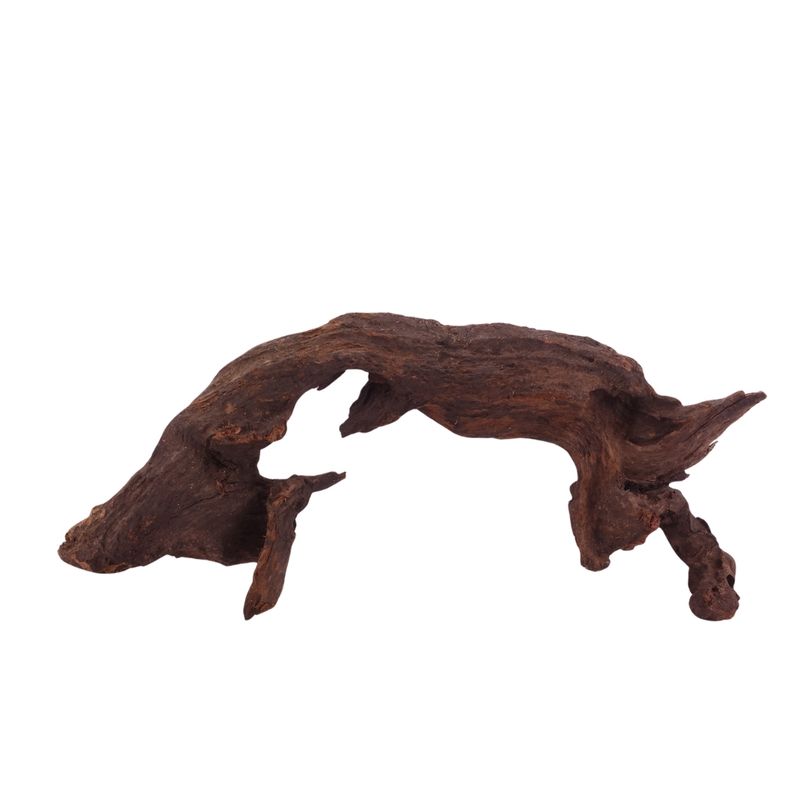  L Driftwood Flußwurzel Nr.3902 Holz Deko Aquascaping
