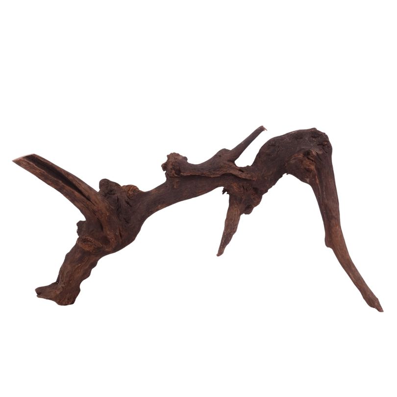 XL Driftwood Flußwurzel Nr.3904 Holz Deko Aquascaping