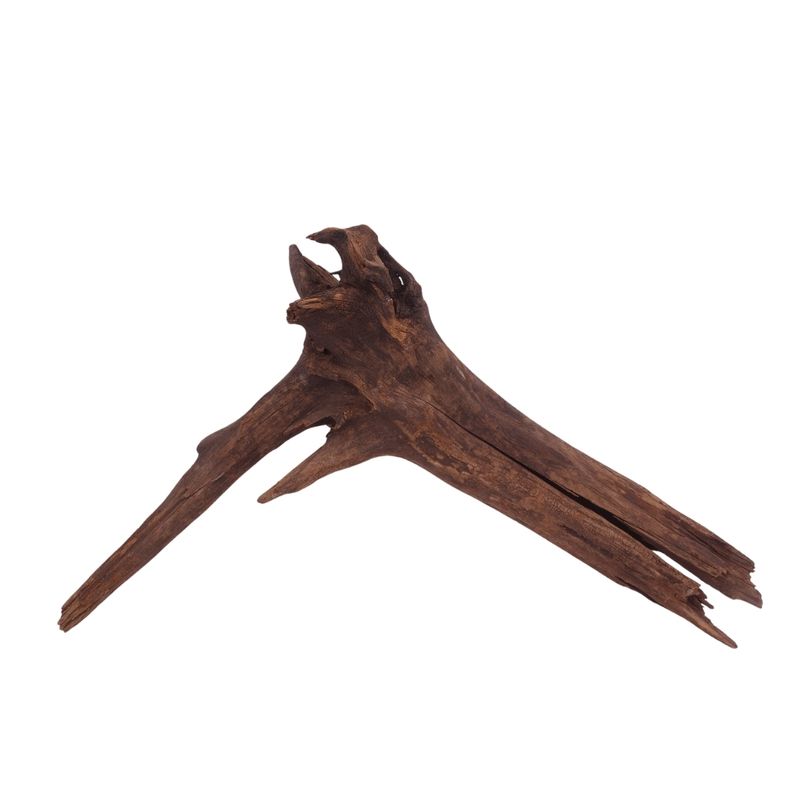 XL Driftwood Flußwurzel Nr.3908 Holz Deko Aquascaping