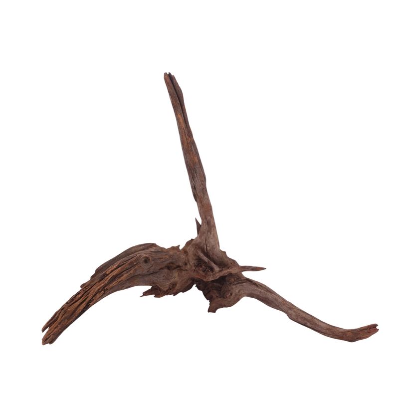 XL Driftwood Flußwurzel Nr.3911 Holz Deko Aquascaping