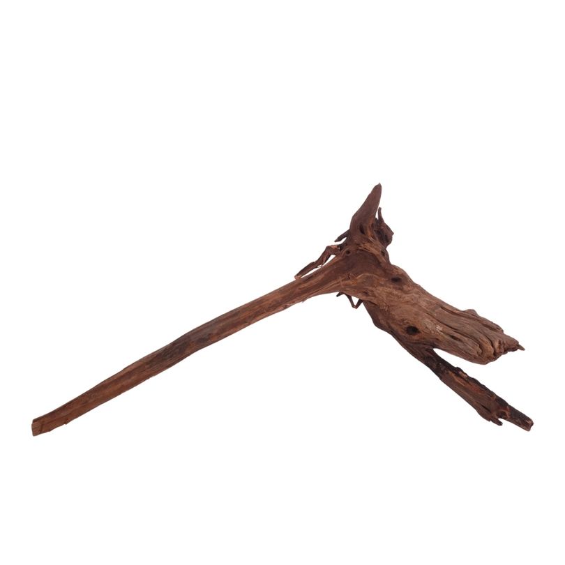 XL Driftwood Flußwurzel Nr.3912 Holz Deko Aquascaping