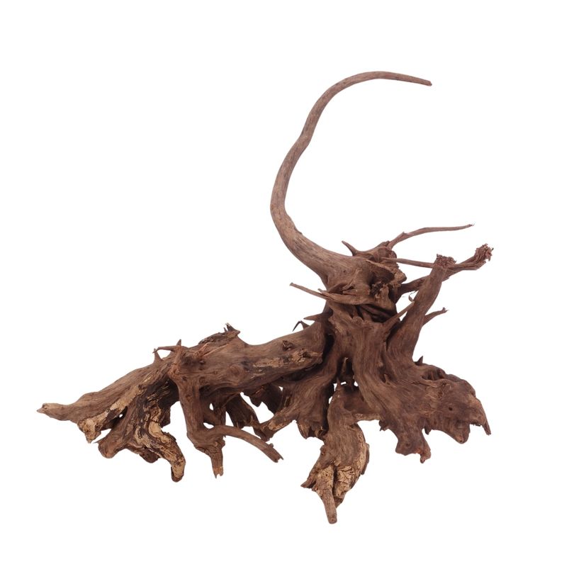 XL Driftwood Flußwurzel Nr.3913 Holz Deko Aquascaping
