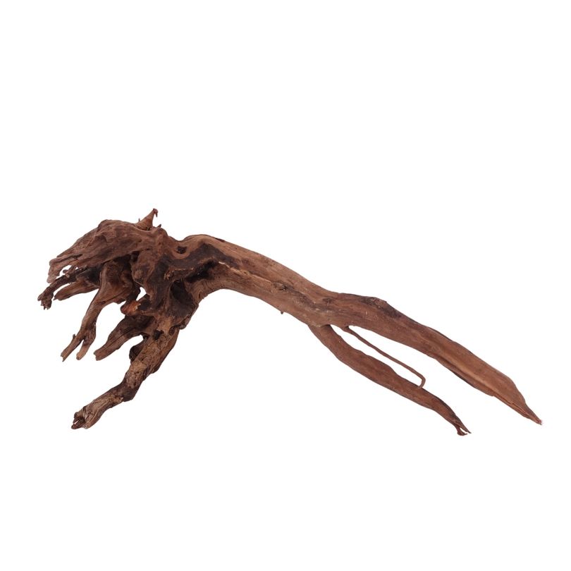 XL Driftwood Flußwurzel Nr.3916 Holz Deko Aquascaping