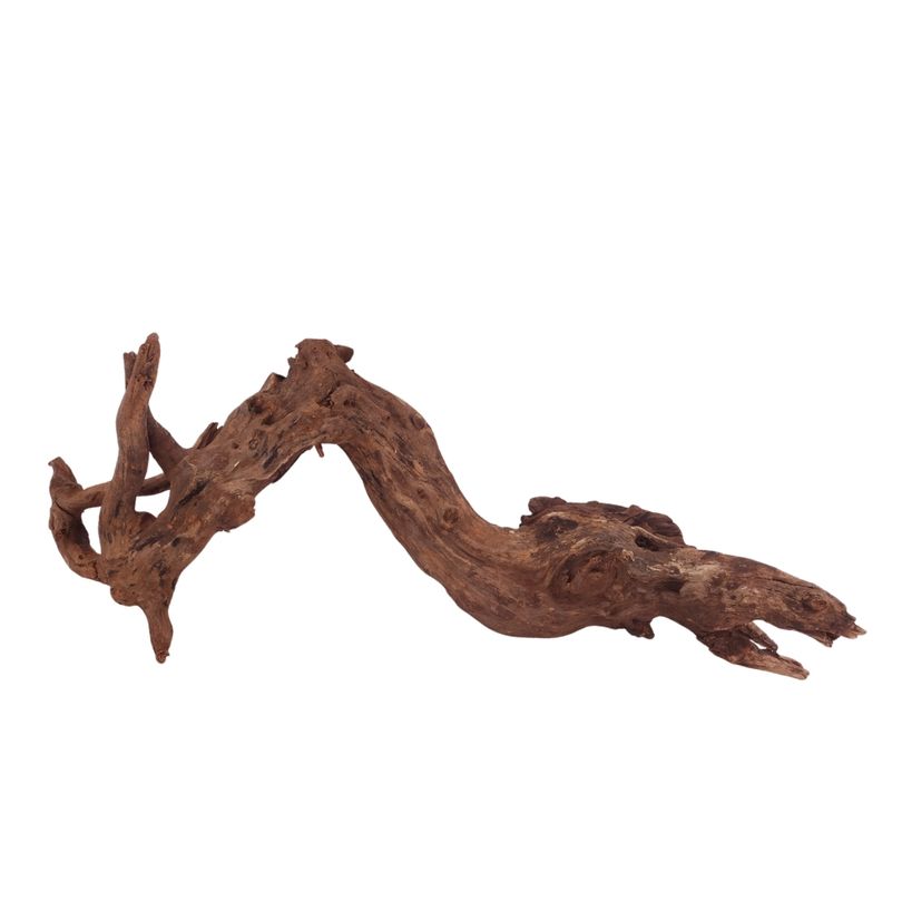 XL Driftwood Flußwurzel Nr.3920 Holz Deko Aquascaping