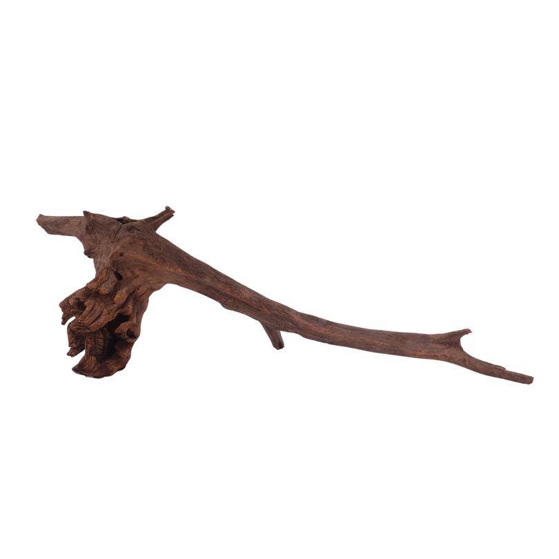 XL Driftwood Flußwurzel Nr.3923 Holz Deko Aquascaping
