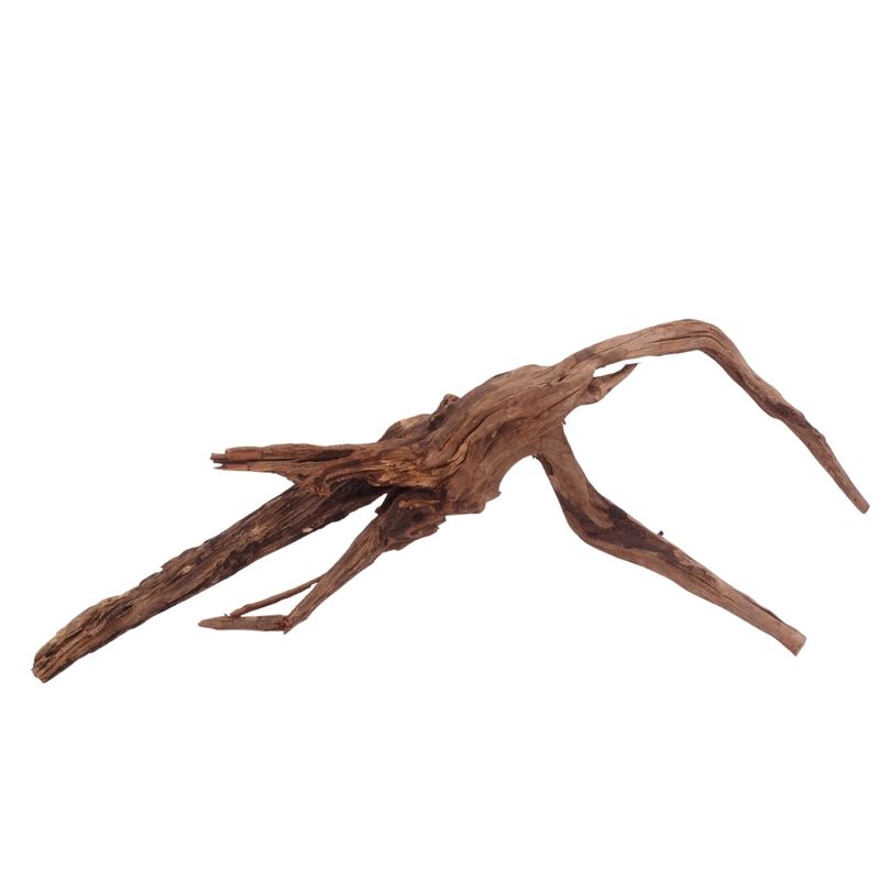 XL Driftwood Flußwurzel Nr.3924 Holz Deko Aquascaping