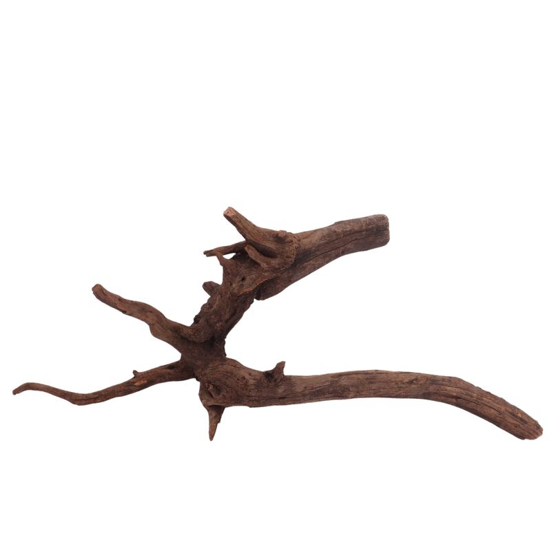 XL Driftwood Flußwurzel Nr.3927 Holz Deko Aquascaping