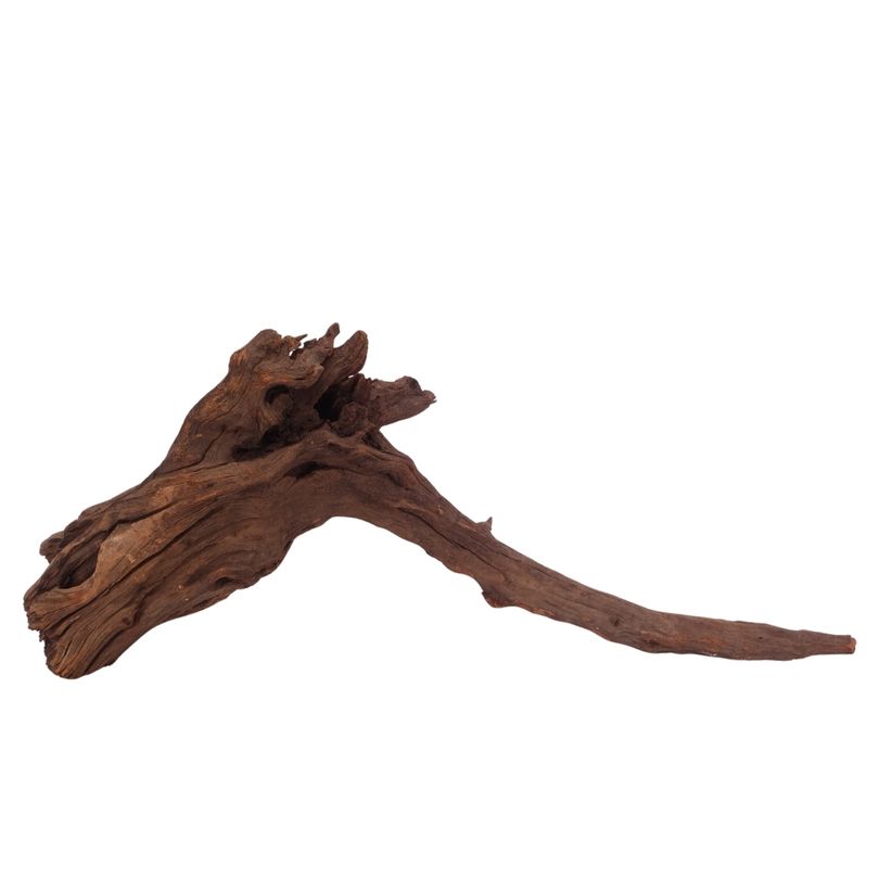 XL Driftwood Flußwurzel Nr.3928 Holz Deko Aquascaping