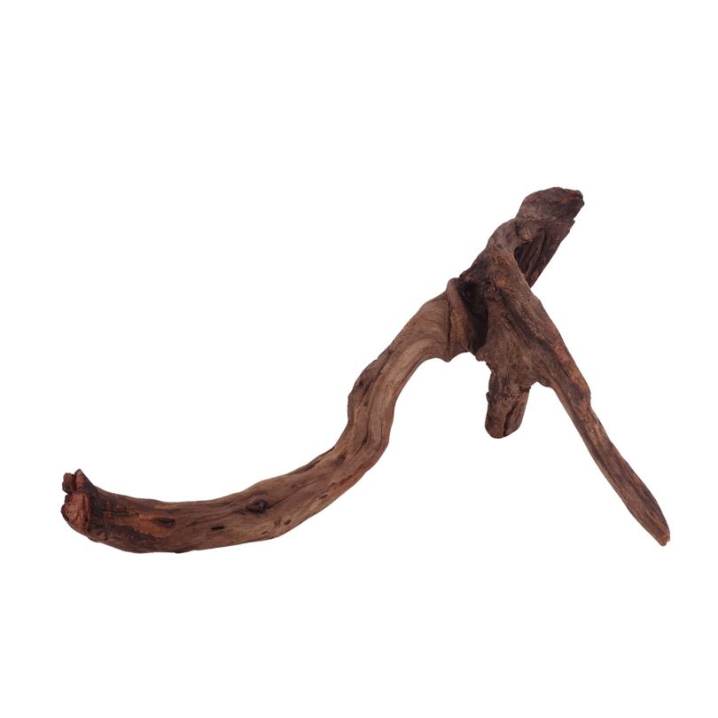 XL Driftwood Flußwurzel Nr.3930 Holz Deko Aquascaping