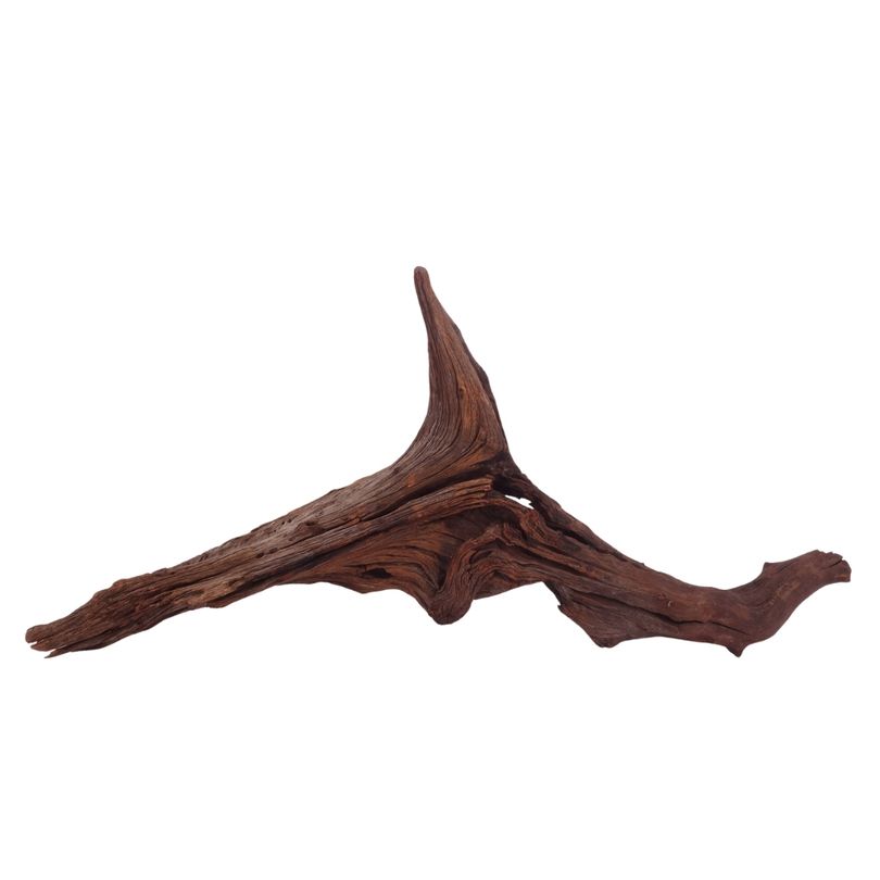 XL Driftwood Flußwurzel Nr.3940 Holz Deko Aquascaping