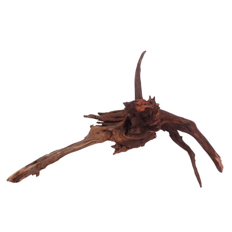 XL Driftwood Flußwurzel Nr.3945 Holz Deko Aquascaping