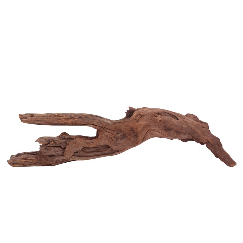 XL Driftwood Flußwurzel Nr.3946 Holz Deko Aquascaping