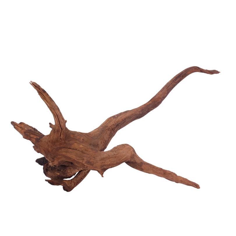XL Driftwood Flußwurzel Nr.3949 Holz Deko Aquascaping