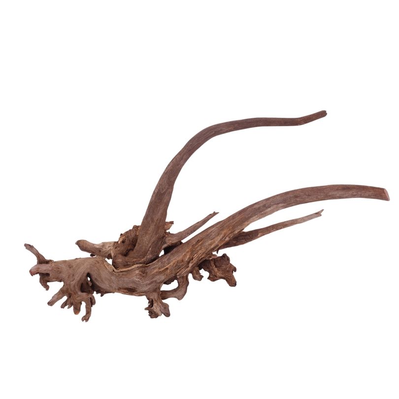 XL Driftwood Flußwurzel Nr.3951 Holz Deko Aquascaping
