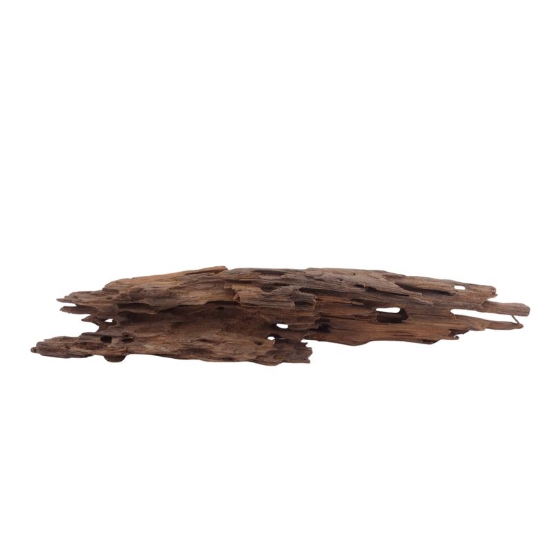 M Honey Comb Wurzel Nr.3748 Holz Deko Aquascaping