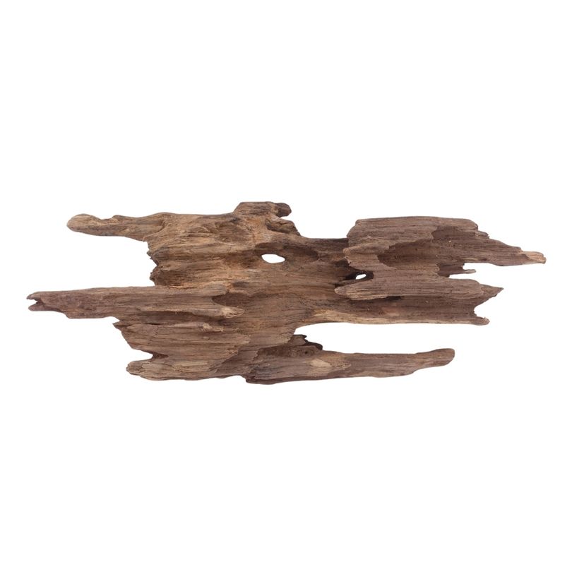 M Honey Comb Wurzel Nr.3749 Holz Deko Aquascaping