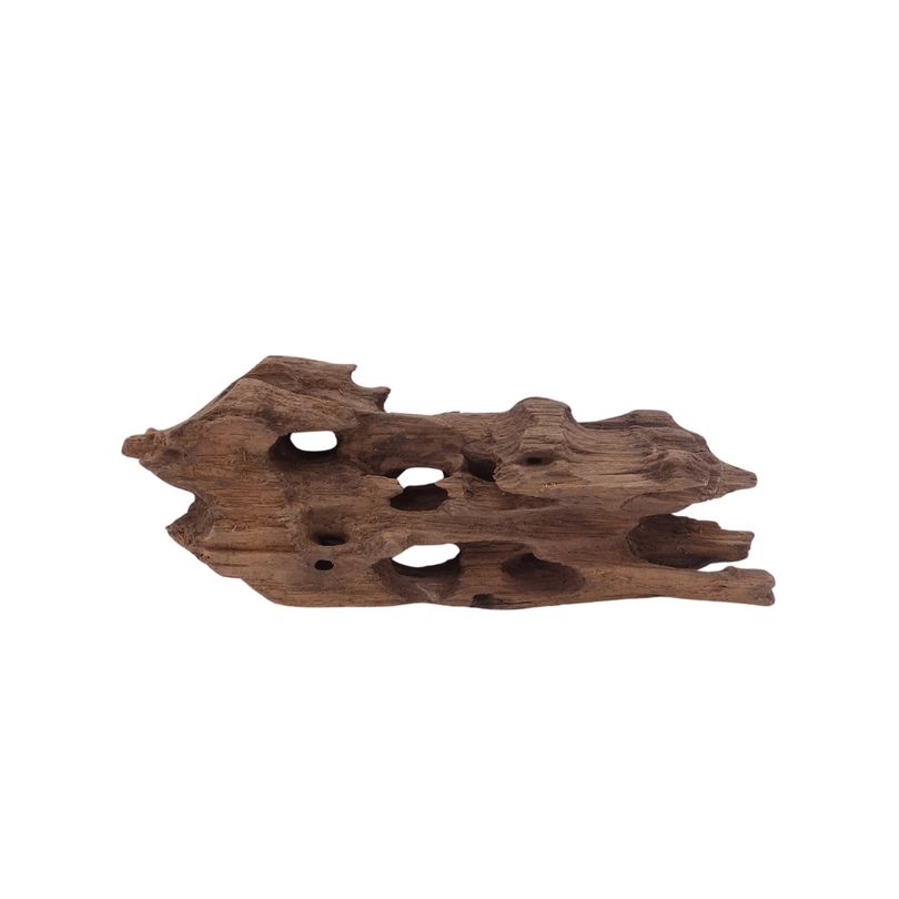 M Honey Comb Wurzel Nr.3753 Holz Deko Aquascaping