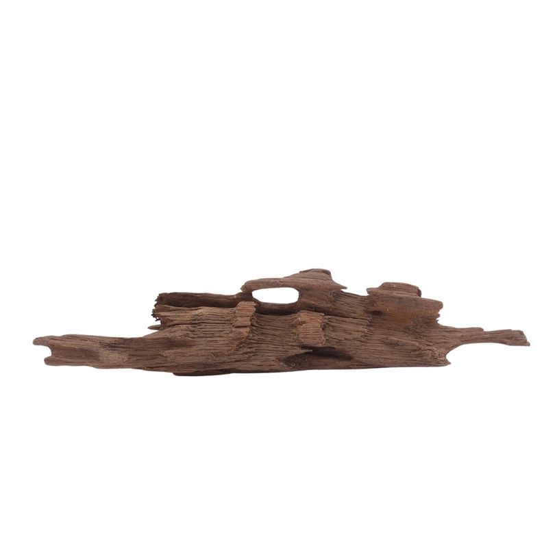 M Honey Comb Wurzel Nr.3758 Holz Deko Aquascaping