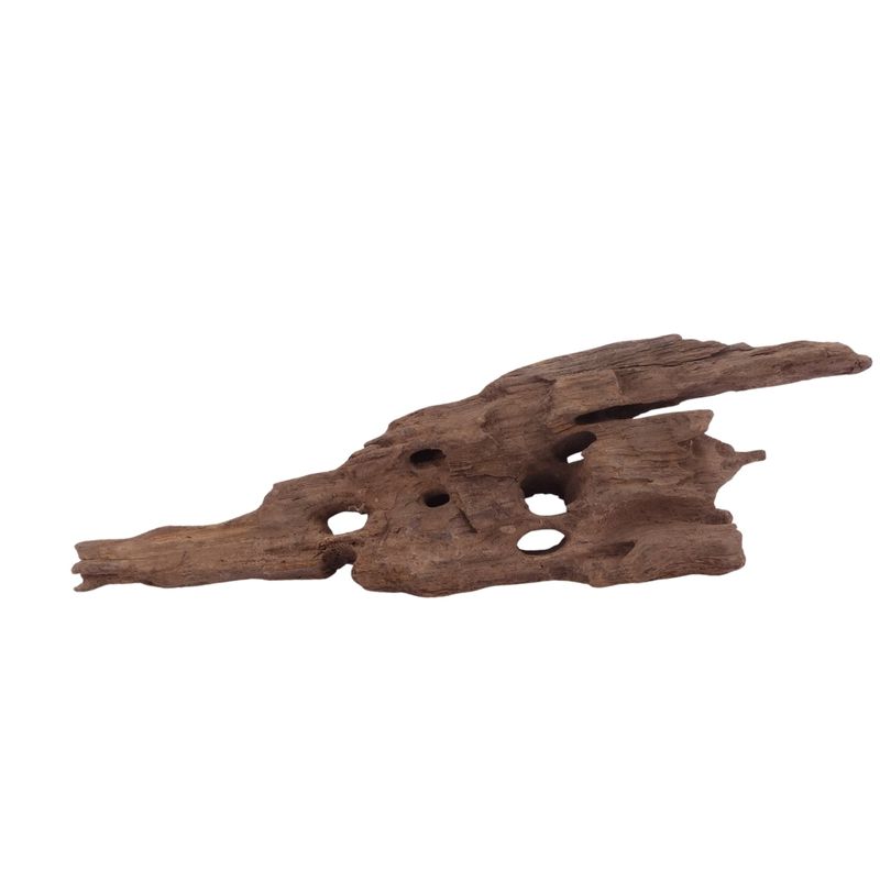 M Honey Comb Wurzel Nr.3759 Holz Deko Aquascaping