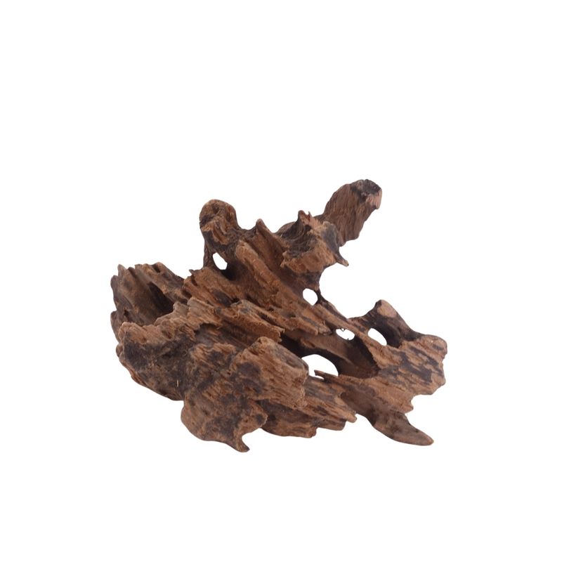 M Honey Comb Wurzel Nr.3760 Holz Deko Aquascaping