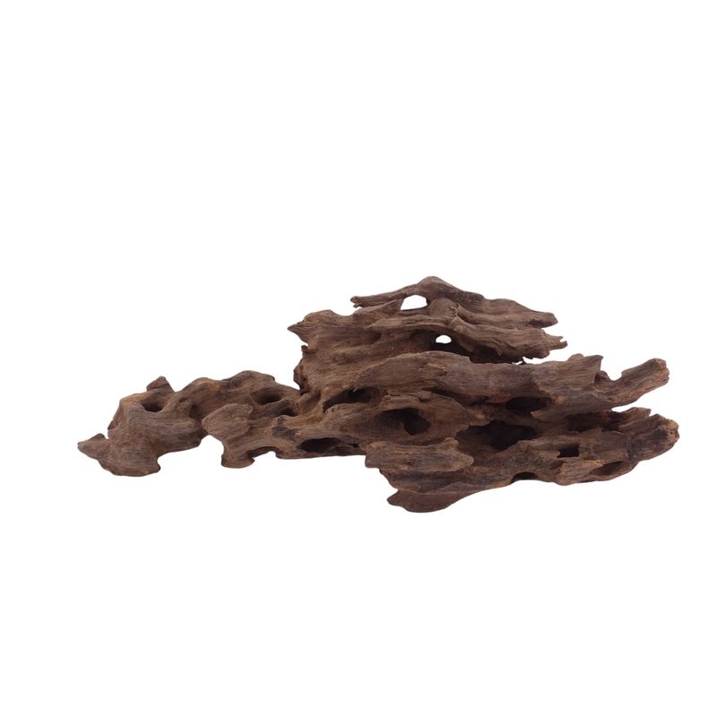 M Honey Comb Wurzel Nr.3765 Holz Deko Aquascaping