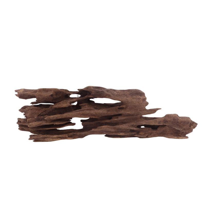 M Honey Comb Wurzel Nr.3768 Holz Deko Aquascaping