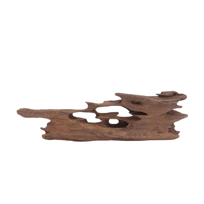 M Honey Comb Wurzel Nr.3769 Holz Deko Aquascaping