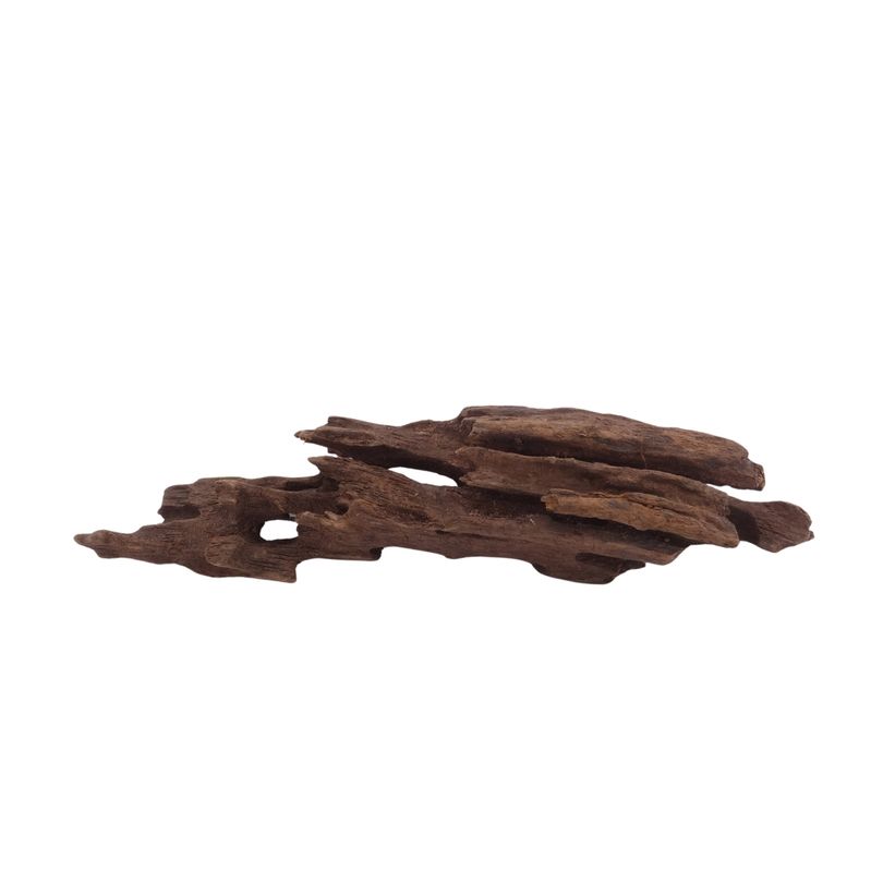 M Honey Comb Wurzel Nr.3772 Holz Deko Aquascaping