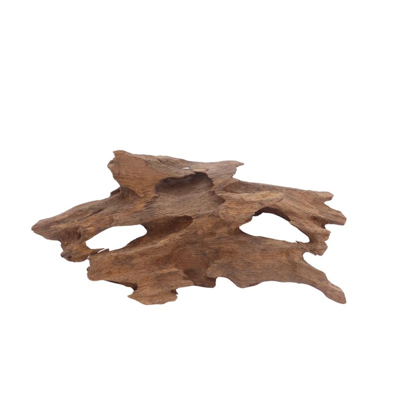 M Honey Comb Wurzel Nr.3773 Holz Deko Aquascaping