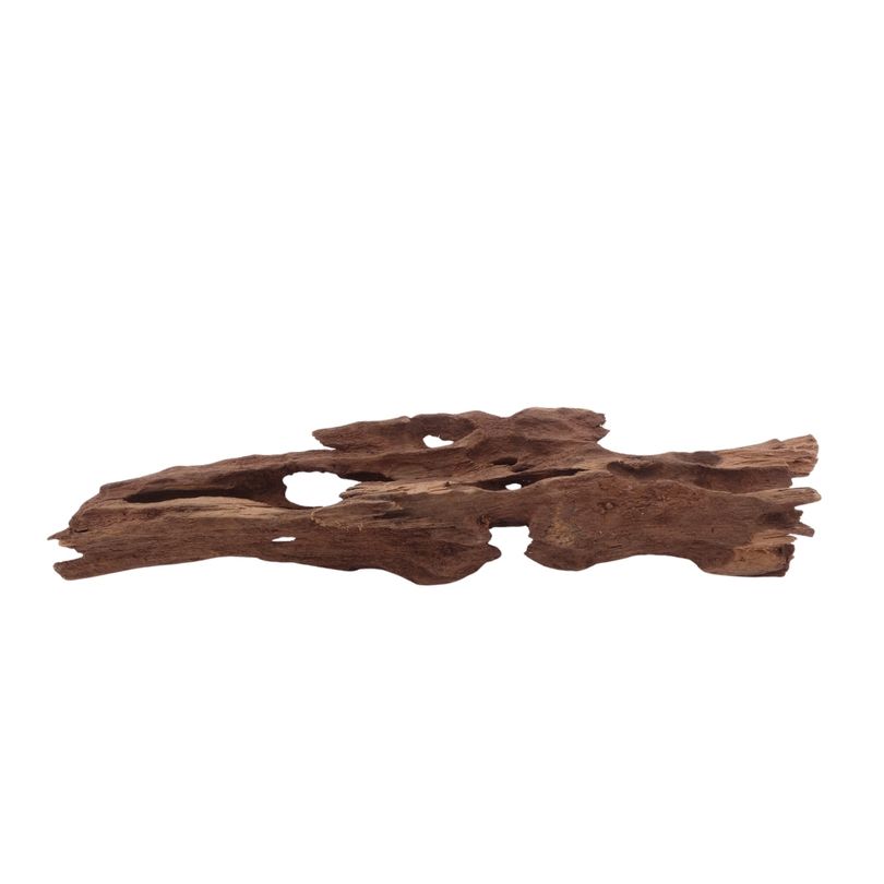 M Honey Comb Wurzel Nr.3774 Holz Deko Aquascaping