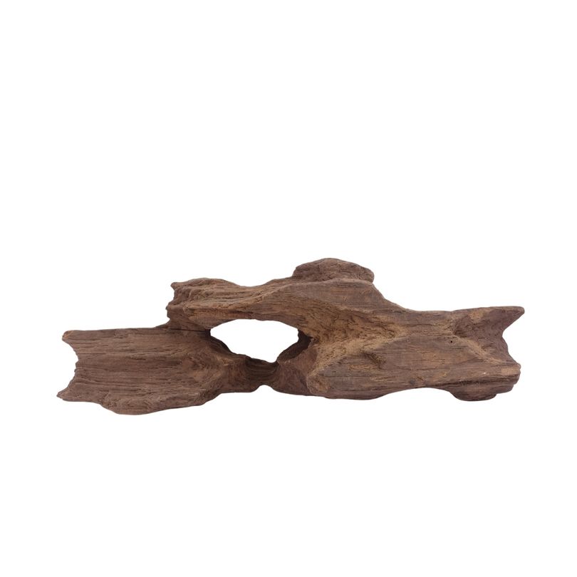 M Honey Comb Wurzel Nr.3777 Holz Deko Aquascaping