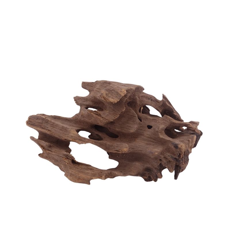 M Honey Comb Wurzel Nr.3778 Holz Deko Aquascaping