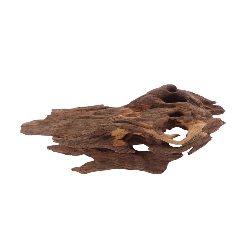 M Honey Comb Wurzel Nr.3781 Holz Deko Aquascaping